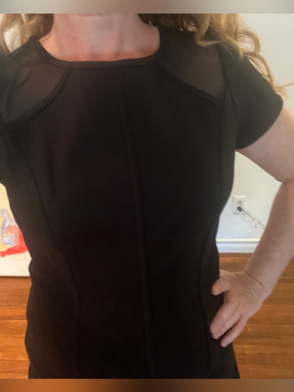 Ann Taylor Petite Black Dress with Sheer Front Shoulders & Gold Back Zipper - Picture 6 of 6